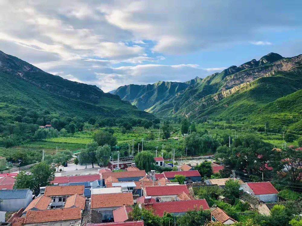 U乐国际(中国区)集团